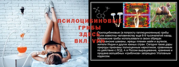 2c-b Алзамай